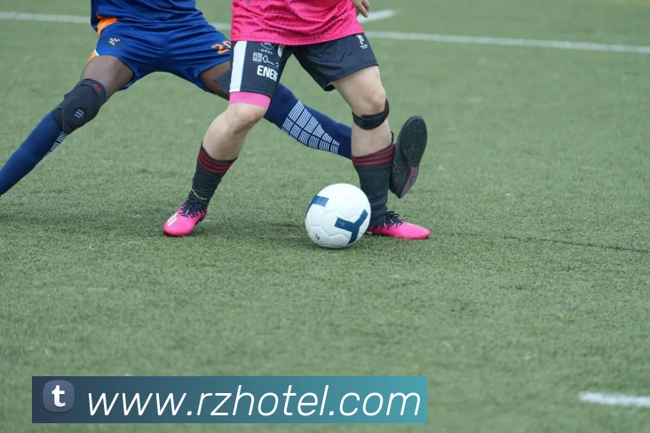 mksports最新官网服务体系